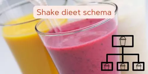 afvallen met een shake dieet schema